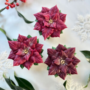 rachelles poinsettia