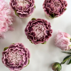 Rachelles Peony